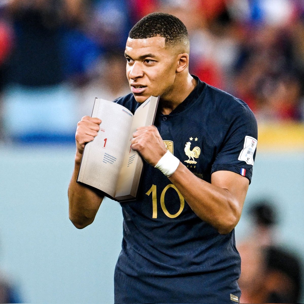 FRANCIA-vs-DINAMARCA-2